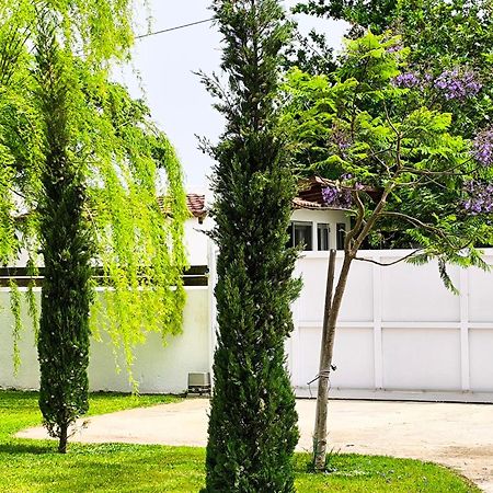 Appartement Seaside Jacaranda à Schinias Extérieur photo