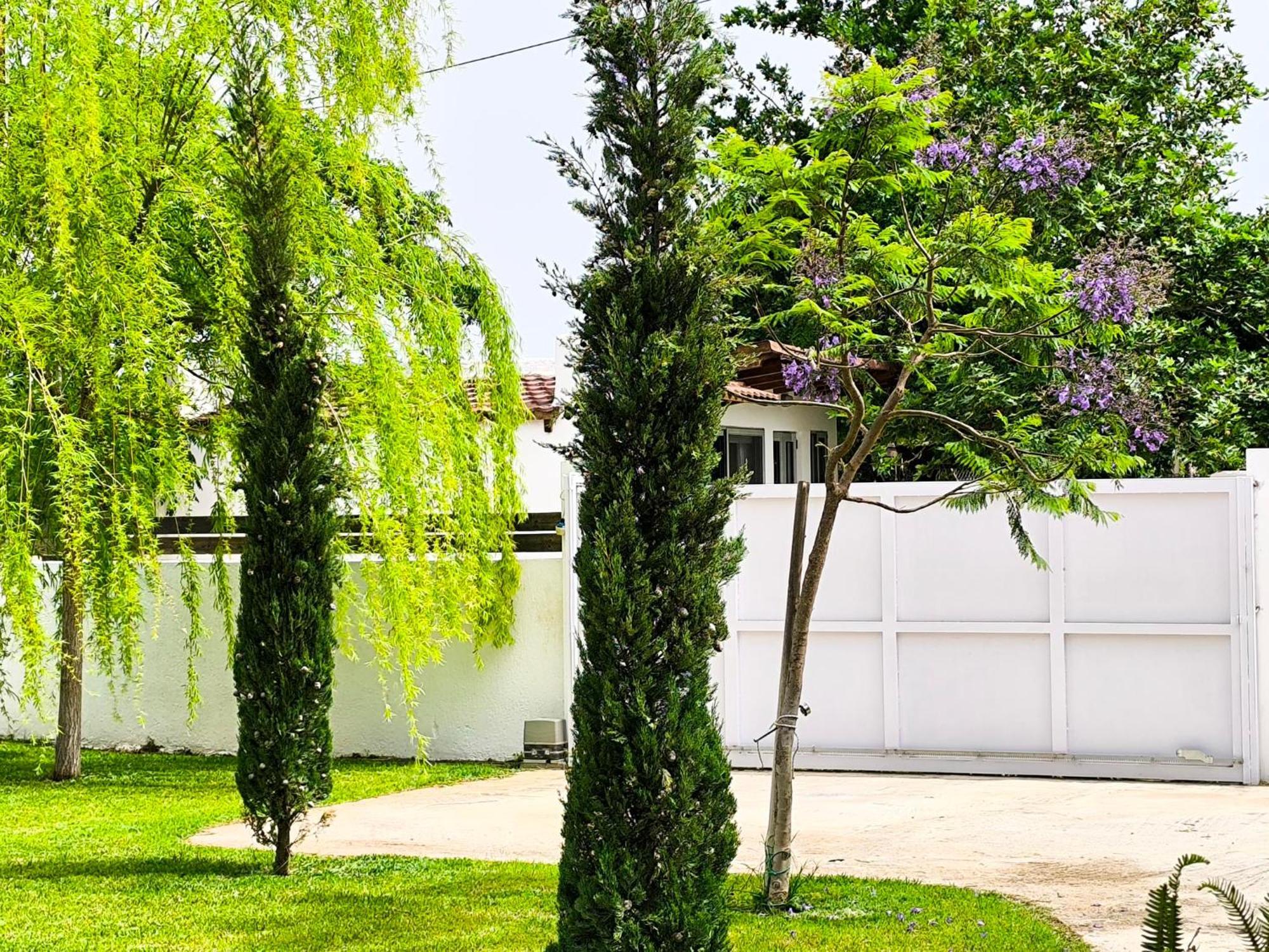 Appartement Seaside Jacaranda à Schinias Extérieur photo